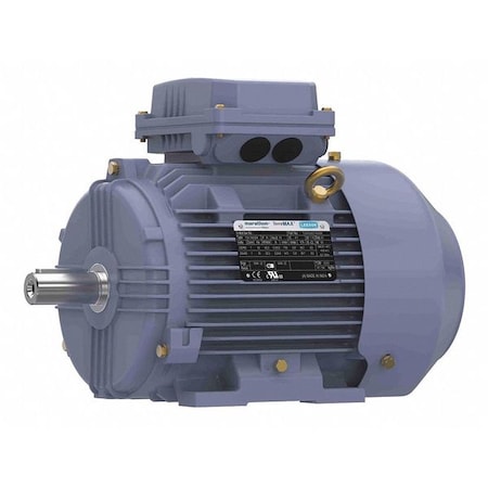 Metric Motor, 100L, Rigid Base MPN:TCA1P53AE211GAA009