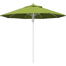 California Umbrella 9' Patio Umbrella Newport Series Silver Pole Sunbrella 2A Macaw AATF908AH002-5429