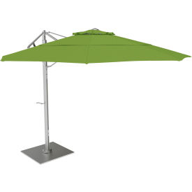 California Umbrella Sola 11' Cantilever Umbrella Silver Frame Sunbrella Ginkgo Fabric SOLA118001-6085