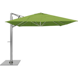California Umbrella Sola 10' x 10' Cantilever Umbrella Silver Frame Sunbrella Ginkgo Fabric SOLA338001-6085