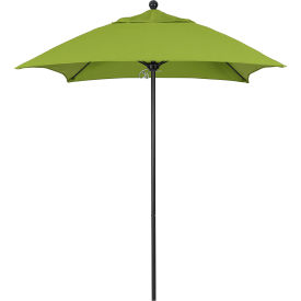 California Umbrella Venture 6' Patio Umbrella Black Pole Sunbrella 2A Macaw Fabric ALTO604302-5429