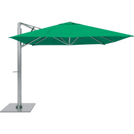 California Umbrella Sola 10' x 10' Cantilever Umbrella Silver Frame Sunbrella Erin Green Fabric SOLA338001-6000