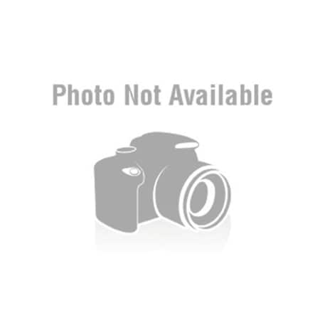 Notched Trowel, U-Handle, 1/4