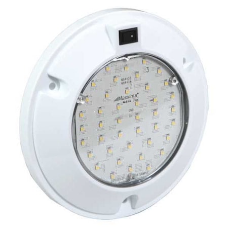 Dome Lamp, Clear, 6-1/2
