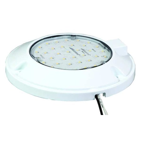 Dome Lamp, Clear, 6-1/2