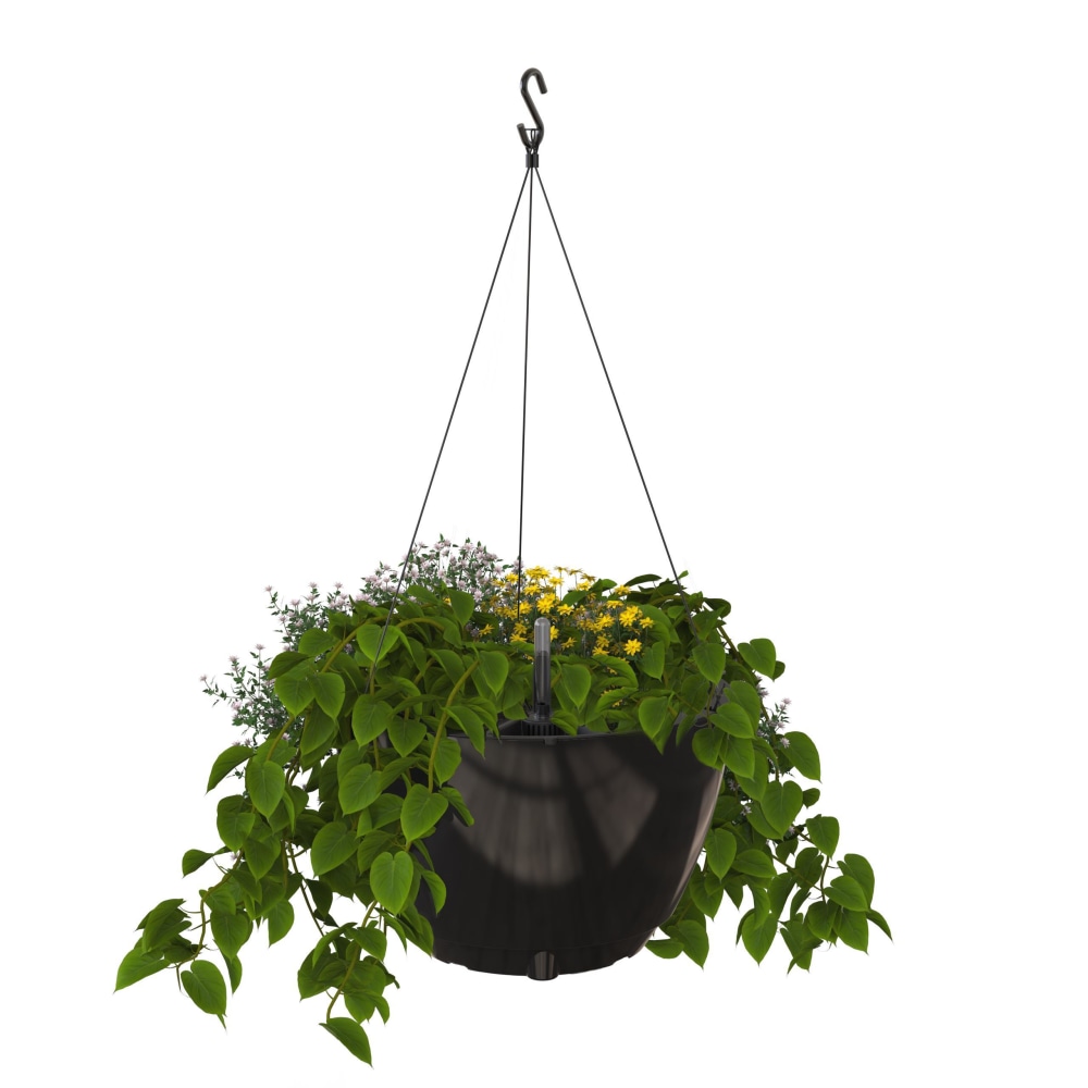 Mayne Caprio Hanging Planter, 9inH, Black MPN:3885-B