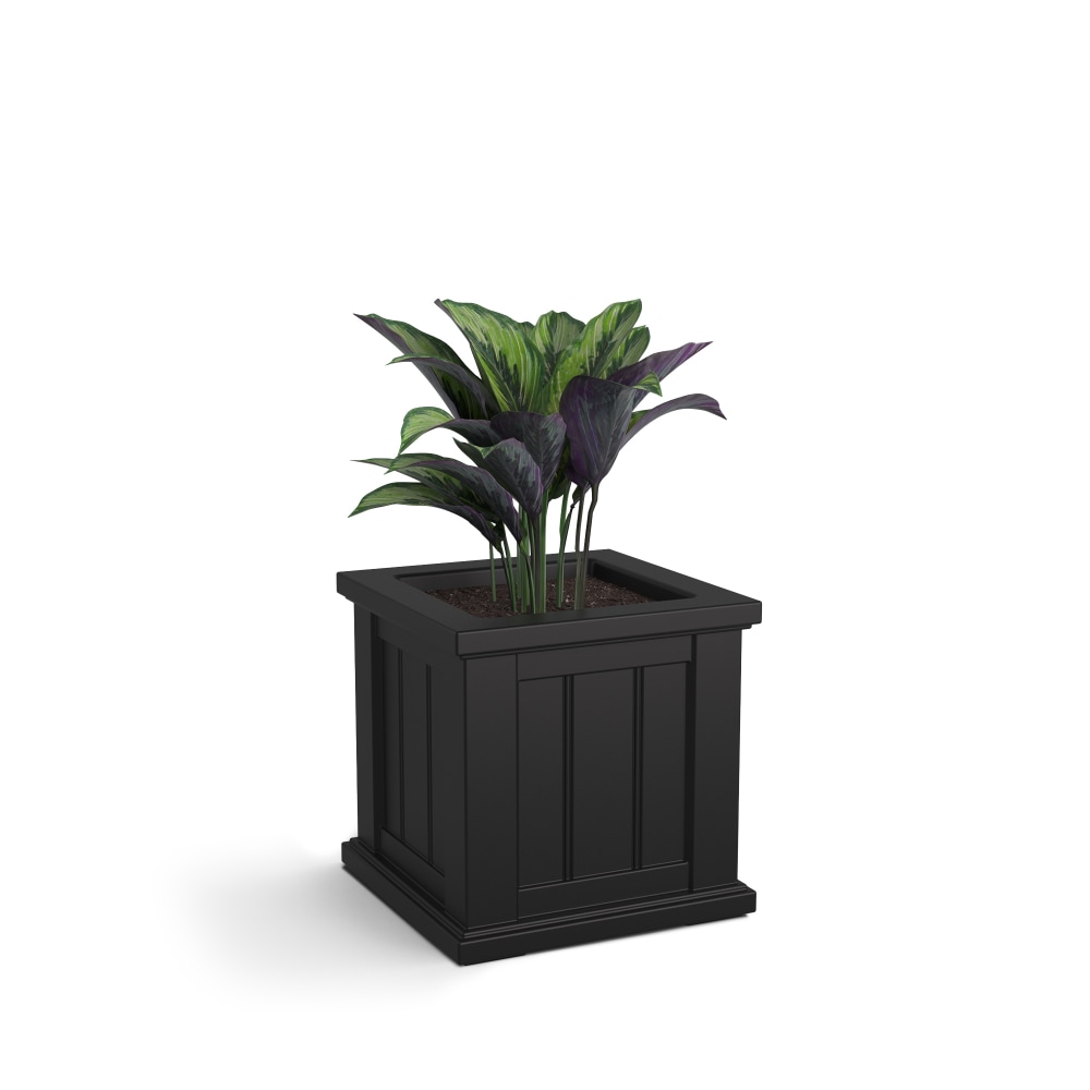 Mayne Cape Cod Square Planter, 14inH, Black MPN:4836-B