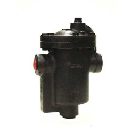 Steam Trap, Stainless Steel, 25 psi, 3/4 in MPN:IB12-3-125G