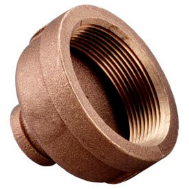 Brass 125 Lb Lead Free Fitting 2
