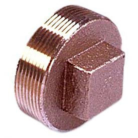 Brass 125 Lb Lead Free Fitting 4