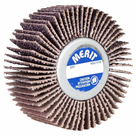 Flap Wheel, Aluminum Oxide, 2 1/2