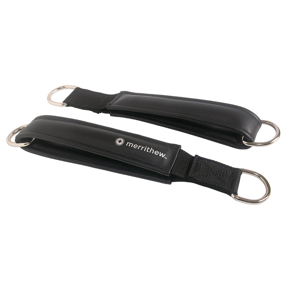 Example of GoVets Merrithew category