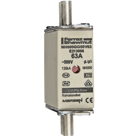 Fuse Link, E21 Series, 63A, Time-Delay, 500V AC, Square MPN:E213996