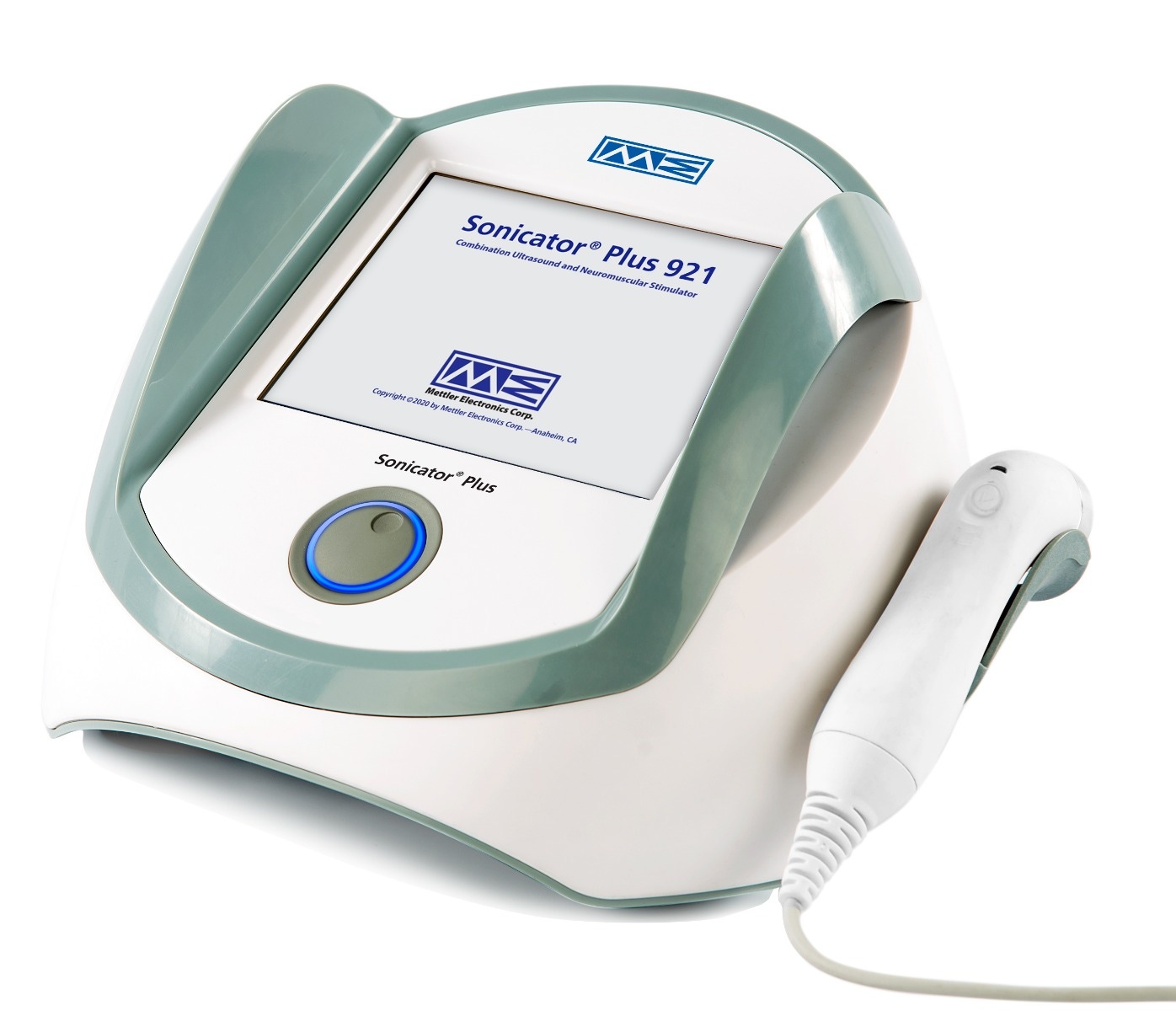 Example of GoVets Mettler category