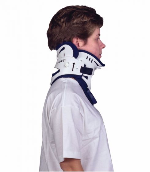 Example of GoVets Miami j category