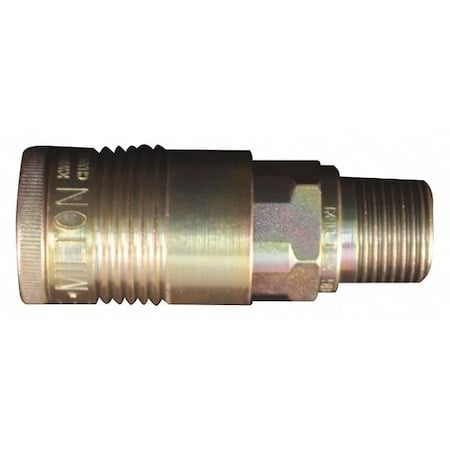 G Style Coupler, 1/2 in MNPT, Steel MPN:S-1816