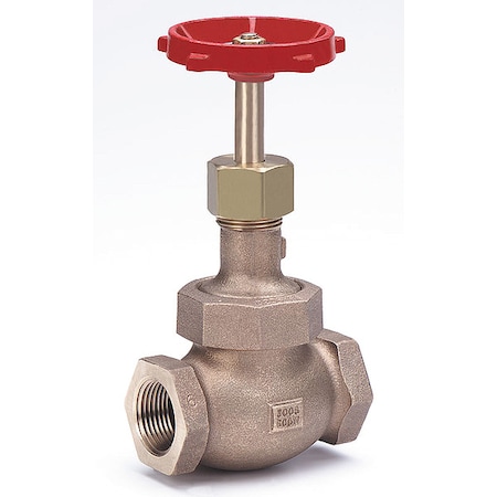 Globe Valve, 1/2