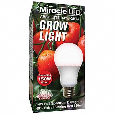 Light Bulb 120 V 14 W 185 mA LED MPN:601814