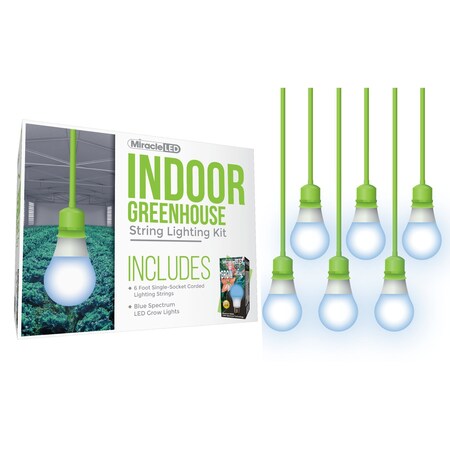 Absolute Daylight Single-Socket Cor, PK6 MPN:601268