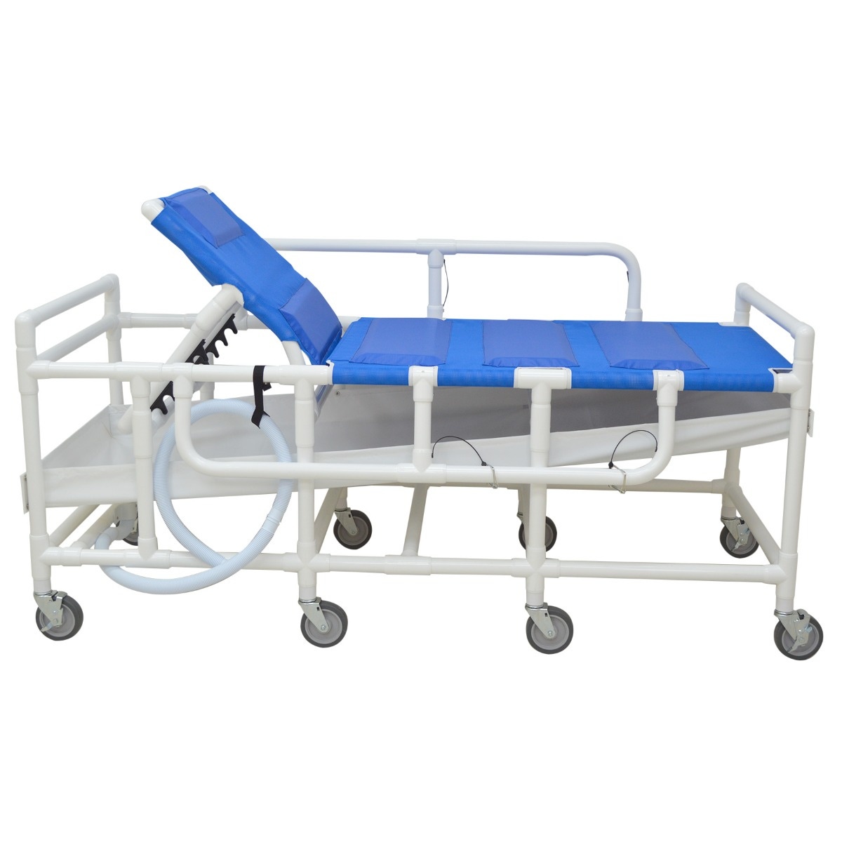 Example of GoVets Mjm category