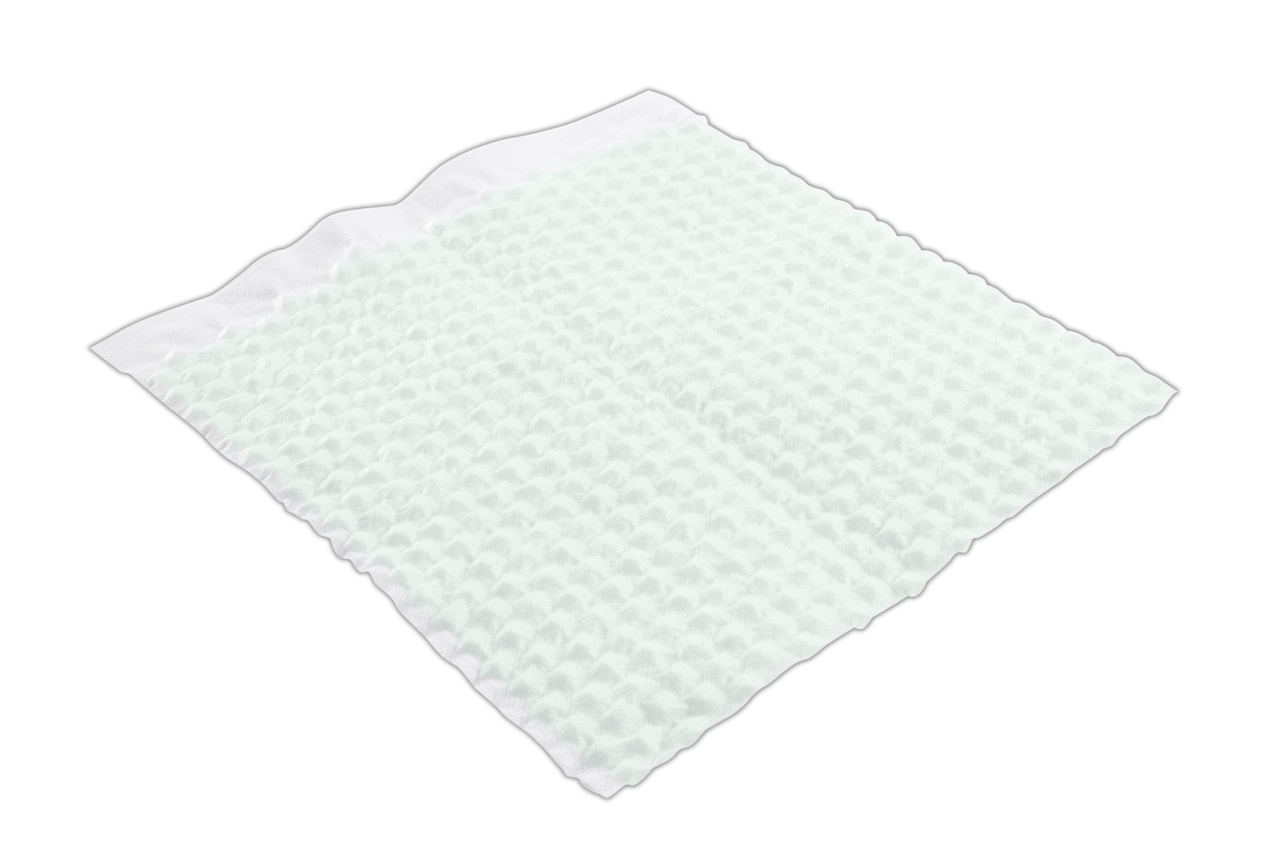 Example of GoVets Mobiderm brand