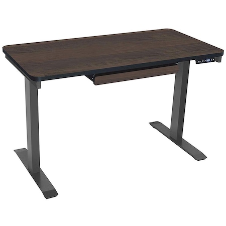 Standing Desk, 24 in x48