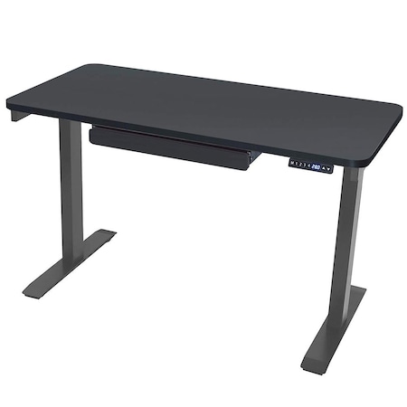 Standing Desk, 24 in x48