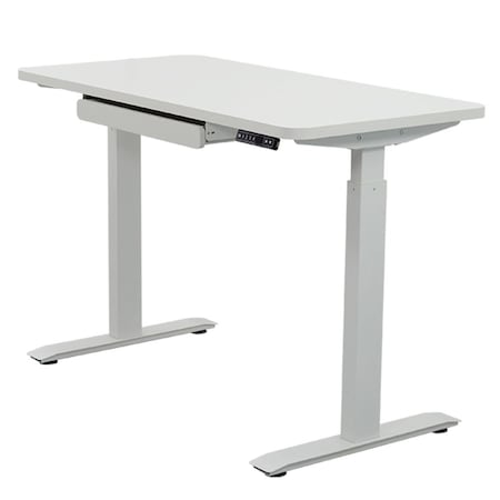 Standing Desk, 24 in x48