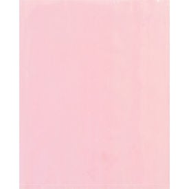 GoVets™ Anti Static Bags 4