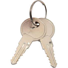 GoVets™ Replacement Keys For Computer Cabinet Model 607294/607295 Set Of 2 011RP9