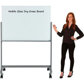 GoVets™ Mobile Glass WhiteBoard - 48