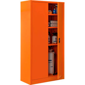 GoVets™ Emergency Preparedness Cabinet 36