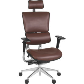 Interion® Omega Ergonomic Executive Office Chair with High Back & Adj. Arms Leather Chocolate 19218B32