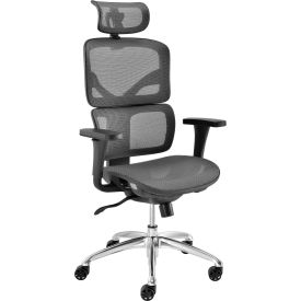Interion® Mesh Ergonomic Chair With High Back & Adjustable Arms Mesh Gray 544695