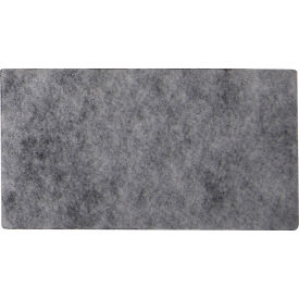 Replacement Post Filter for GoVets™ Backpack Vacuum 641850 831RP8