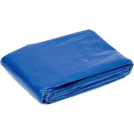 GoVets™ 100' x 100' Light Duty 2.9 oz. Tarp Blue 557298