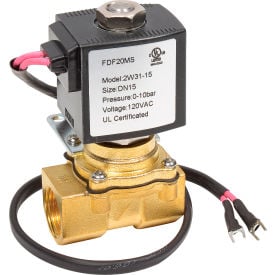 Replacement Solenoid Valve Assembly 110V - 641250 261990 641745 431RP6