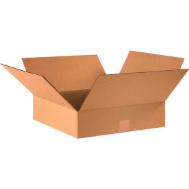 GoVets™ Flat Cardboard Corrugated Boxes 16