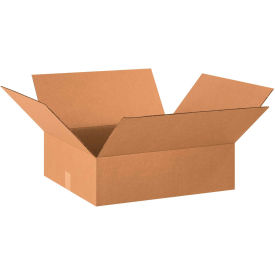 GoVets™ Flat Cardboard Corrugated Boxes 20