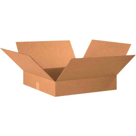 GoVets™ Flat Cardboard Corrugated Boxes 20