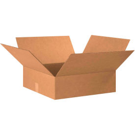 GoVets™ Flat Cardboard Corrugated Boxes 20