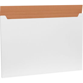GoVets™ Corrugated Jumbo Fold-Over Mailers 38