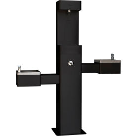 GoVets™ Outdoor Bottle Filling Station & Bi-Level Fountain w/ Filter Black 220BKF761