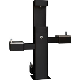 GoVets™ Outdoor Bi-Level Drinking Fountain with Bottle Filler & Pet Station Black 221BK761
