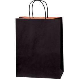 GoVets™ Tinted Shopping Bags 10