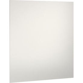 ASI Global Partitions Polymer Partition Panel w/o Brackets - 54-1/2
