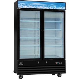 Nexel® Merchandiser Freezer 2 Glass Doors 45 Cu. Ft. Black 038243