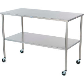 GoVets™ Mobile Stainless Steel Instrument Table 48 x 24