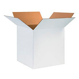 GoVets™ Cardboard Corrugated Boxes 24
