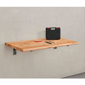 GoVets™ Folding Wall Mount Workbench 48 x 24
